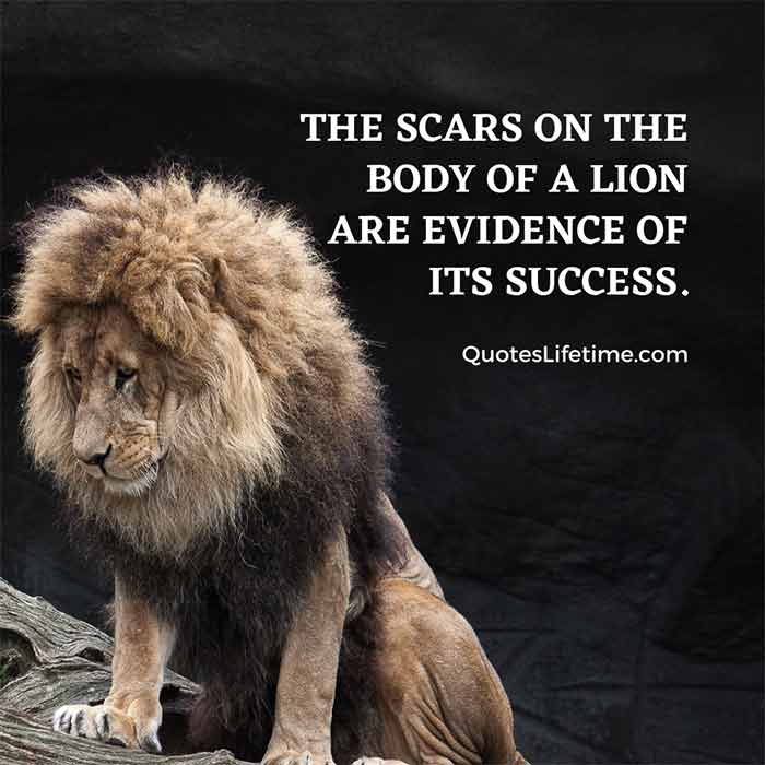 Strong like a Lion Quotes: Be Inspired by These Powerful Sayings